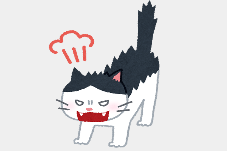 cat_angry