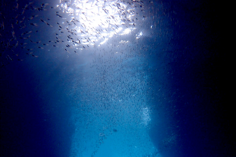 社員旅行沖縄青の洞窟ダイビング